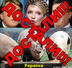 Политики Политики